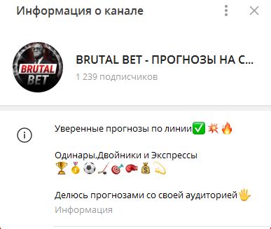 брутал бет отзывы телеграм